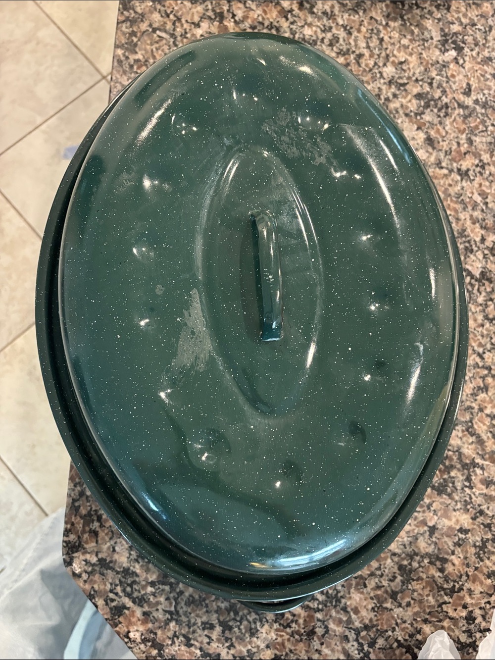 Speckled Dark Green Enamel Roasting Pan with Lid